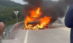 Otomobil, Alev Alev Yandı
