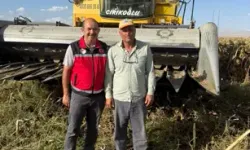 Bor’da Yağlık Ayçiçeği Hasadı Başladı