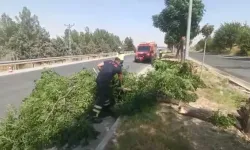 Batman’da Kuvvetli Rüzgar Ağacı Yola Devirdi