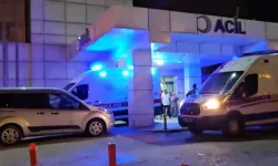 16 Yaşındaki Çocuk, Annesini Tabancayla Öldürdü