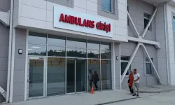 Yılanın Isırdığı Çiftçi Hastaneye Kaldırıldı