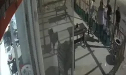 Lokanta İşleten Çiftin Darbedildiği Anlar Kamerada