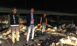 Bornova'da Kaçak Moloz Dökümüne Karşı Seferberlik