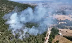 Bolu Ve Düzce’de Bu Yıl Orman Yangınlarında 7 Hektar Zarar Gördü