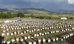 Ordu’da 223 Projeye 176,7 Milyon Liralık Hibe Desteği