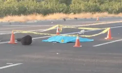 Malatya'da Otomobilin Çarptığı Kadın Öldü