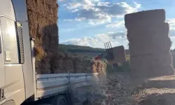Üzerine Saman Balyası Düştü, Öldü
