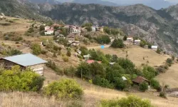 Yaylada Doğal Yaşamı Sürdüren Çiftten Gençlere Çağrı