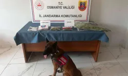 Osmaniye’de Jandarma Son Bir Haftada 142 Şüpheliyi Yakaladı