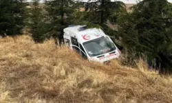 Ambulans Yoldan Çıktı; 4 Yaralı