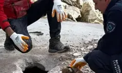 Beton Bloğun Altında Kalan 6 Köpek Yavrusunu İtfaiye Kurtardı