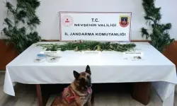 Nevşehir'de Uyuşturucu Operasyonu