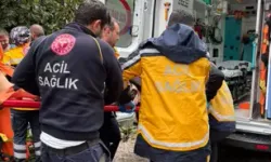 Otomobil Ağaca Çarparak Devrildi: 1 Yaralı