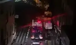 Sedir Ağacı Yola Devrildi