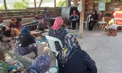 Niksar’da Kadın Çiftçilere Ve Kooperatif Üyelerine Kapsamlı Eğitim