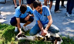 Erbaa Spor Kulübünden Yeni Sezon Öncesinde Adaklık Kurban Kesimi Ve Dua Programı