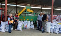 Tokat İl Tarım Ve Orman Müdürlüğü’nden Kırsalda Kapsamlı Saha Çalışması