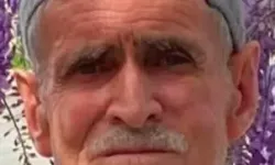 Ceviz Ağacından Düşüp Öldü