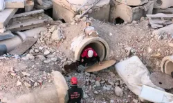 Enkaz Alanı, Arama- Kurtarma Köpeklerinin Eğitim Merkezi Oldu