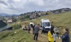 Sis Dağı Yaylası'nda Kamyonet, Uçuruma Yuvarlandı: 1'i Ağır 4 Yaralı