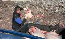 Sakarya’da Durdurulan Kamyonette 130 Kilo Hayvansal Ürün Ele Geçirildi