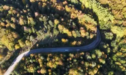 Bolu Ormanlarında Sonbahar Renkleri