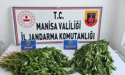 Manisa'daki Uyuşturucu Operasyonlarında 3 Tutuklama