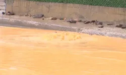 Beykoz’da Yolu Çamurlu Su Bastı