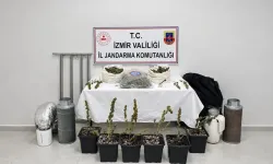 İzmir'de 5 Kilo Skunk Ele Geçirildi