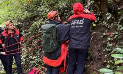 Kestane Toplamak İçin Gittiği Ormanda Ölü Bulundu