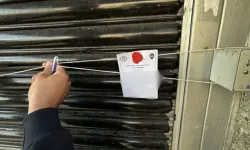 Bodrum'da 8 İşletmeye Kapatma Cezası