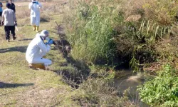 Kahramanmaraş’ta Çürümüş Erkek Cesedi Bulundu