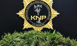 Kırklareli'de Uyuşturucu İle Yakalanan Şüpheli Tutuklandı