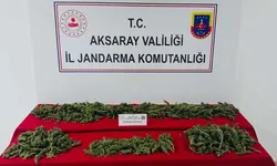 32 İlde Uyuşturucu Operasyonu; 298 Tutuklama