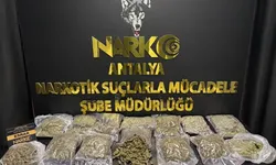 Antalya’da Uyuşturucu Operasyonu: 1 Tutuklu