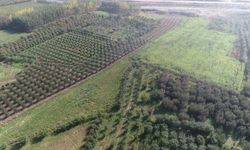 Tokat’ta Sürdürülebilir Tarım İçin Havadan Ve Karadan Arazi Taraması