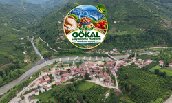 Gökal Dayanışma Hareketi Kuruluyor