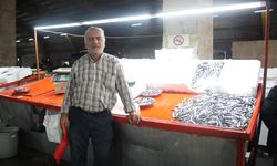 Ekim Ayı Sonunda Erbaa’da Balık Tezgâhları Hareketlendi: Hamsi 250 TL!