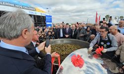 İstanbul’da Erbaa Rüzgârı: Dev Kazanda 460 Bin Zeytinyağlı Sarma İkram Edildi!