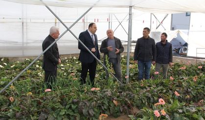 Erbaa Kaymakamı Dr. Remzi Demir, Çiçekçilik Sektöründe Yapılan Yatırımları İnceledi