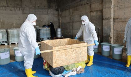 Çöpler Ayrıştırılıyor, Gelecek Korunuyor: Tokat’ın Atık Karnesi Çıkıyor