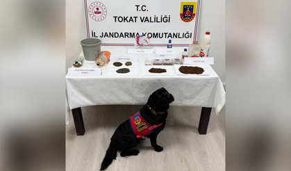 Tokat'ta Uyuşturucu Operasyonu 7 Gözaltı