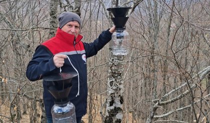 Erbaa’da Kahverengi Kokarca Alarmı: Tarım Arazileri Tuzaklarla Korunuyor!