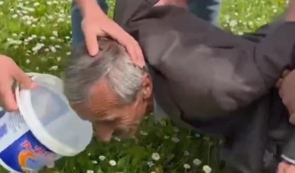 Tokat’ta Arıcılıkta Devrim! Uzman Bal Bulucu Zaza Dayı Sahaya İndi