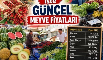 Tezgâhlar Renklendi, Erbaalılar Pazara Akın Etti: İşte Güncel Meyve Fiyatları
