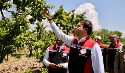 Vali Abdullah Köklü, Güryıldız’da Üreticilerle Buluştu: Tokat’ta Hasat Bereketi Başladı