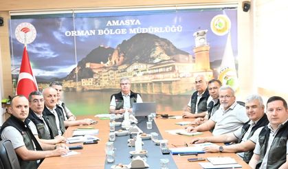 Amasya Orman Bölge Müdürlüğü Toplantısında Tokat’taki Çalışmalar Değerlendirildi