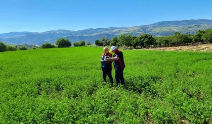 Tokat İl Tarım Müdürlüğü Sahada: 45 Binden Fazla Parselde Yem Bitkisi Kontrolü Başladı