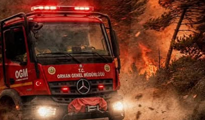 Orman Yangınlarına Karşı Kritik Uyarı Yapıldı