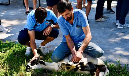 Erbaa Spor Kulübünden Yeni Sezon Öncesinde Adaklık Kurban Kesimi Ve Dua Programı